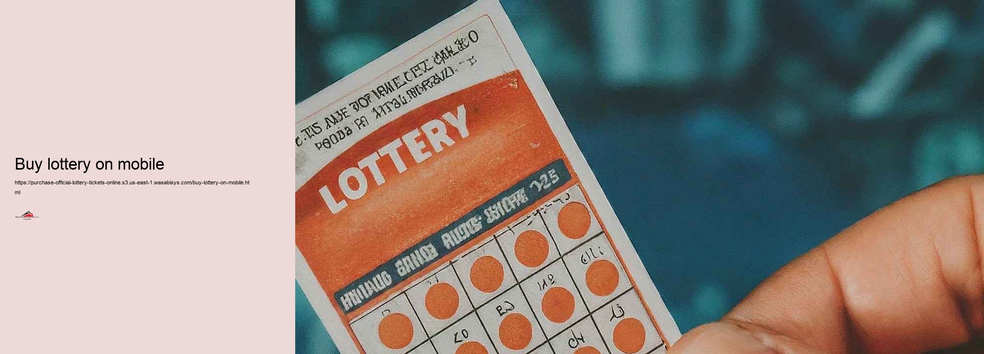 Step-by-Step Overview to Investing in Authorities Lotto Game Tickets Online